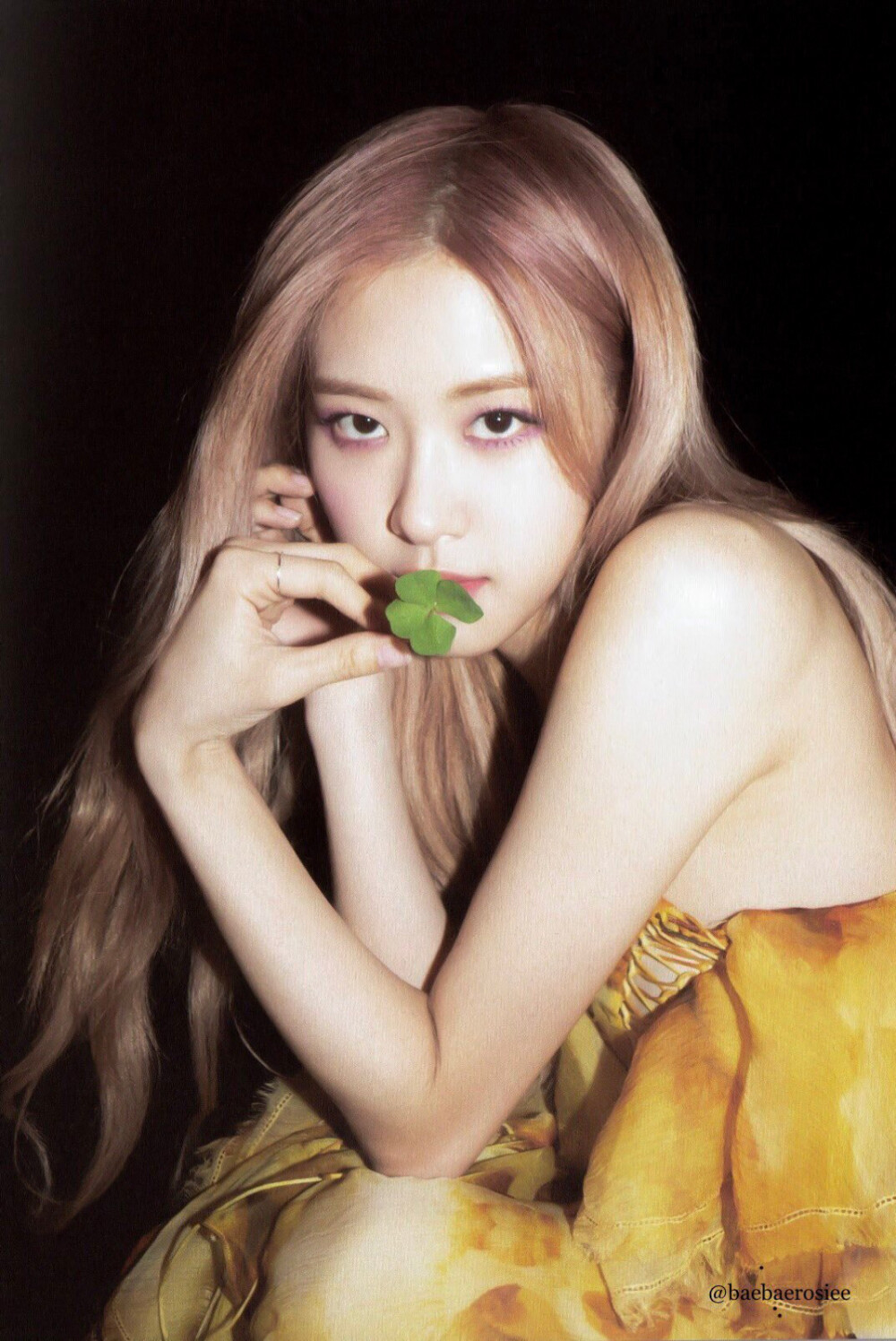 rosé kill this love