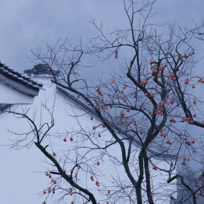 头像
抖音：亭落
#冷瞳