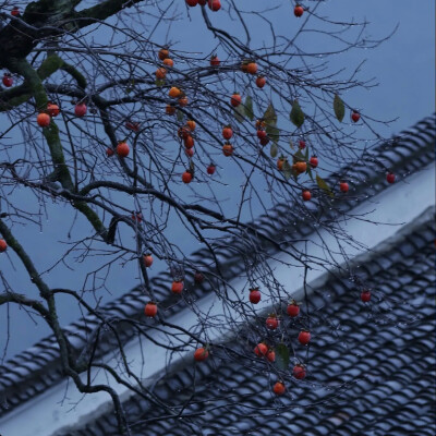 名片输入法皮肤
抖音：亭落
#冷瞳