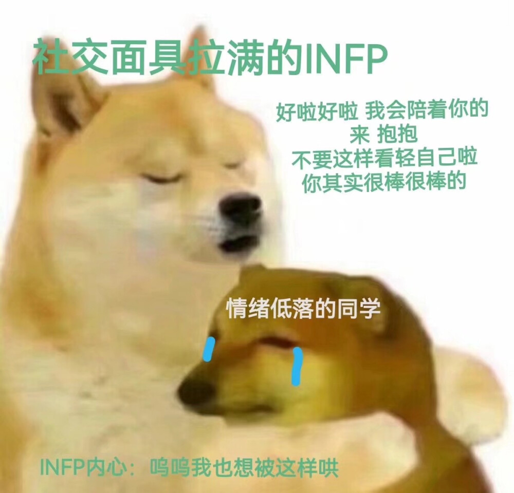 猹
infp表情包
