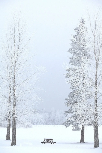 雪景