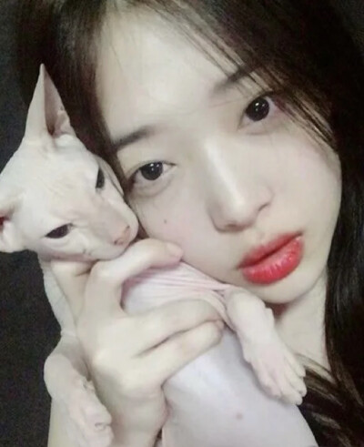 Sulli
