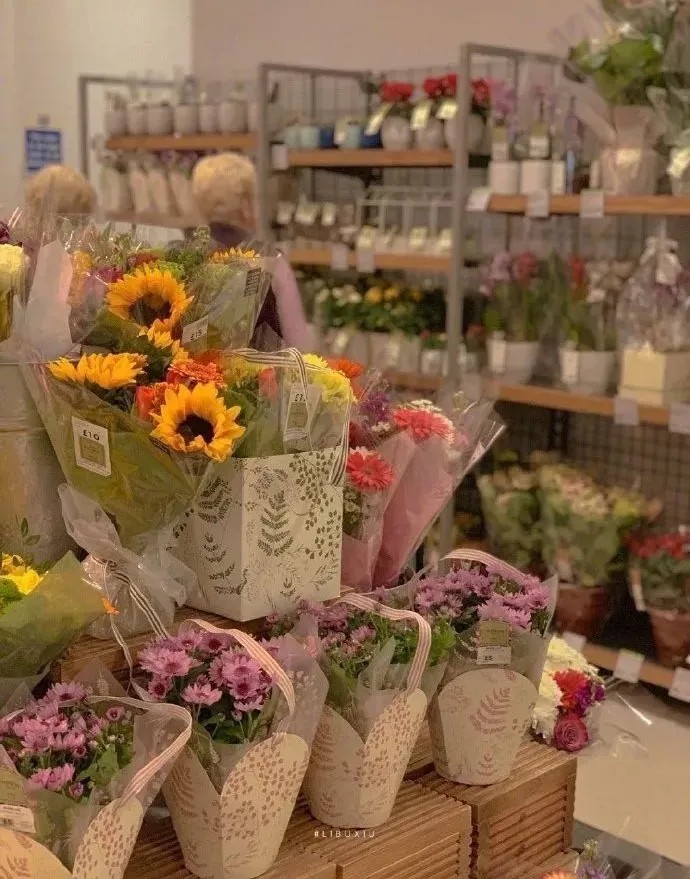 背景图
“花是浪漫的 浪漫是花的”