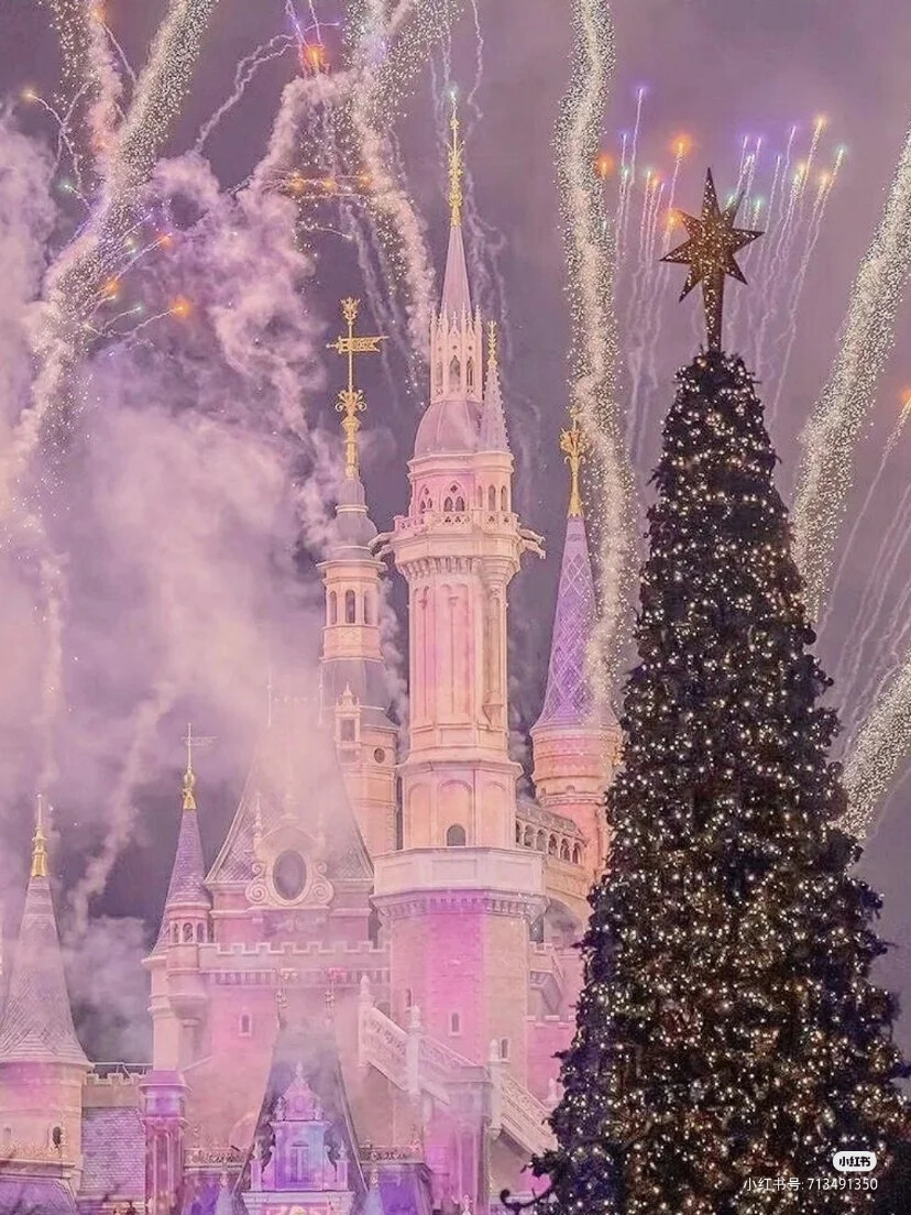 迪士尼乐园图片