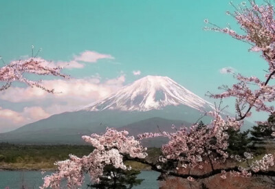 誰能凭愛意将富士山私有