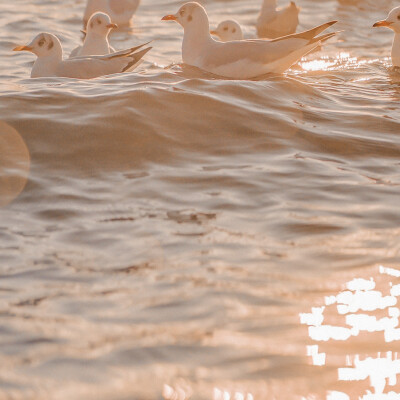 
缠住 吻住春风 吹住我吗