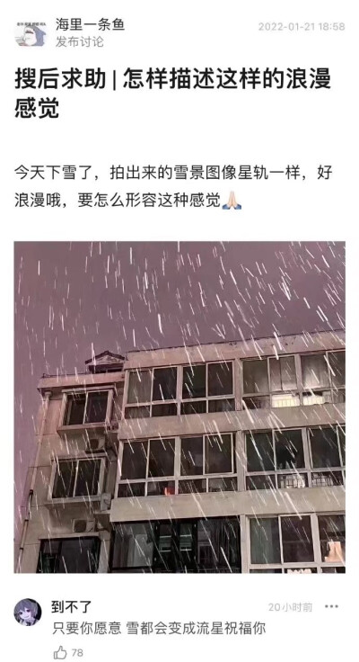世事沉重，花总轻盈