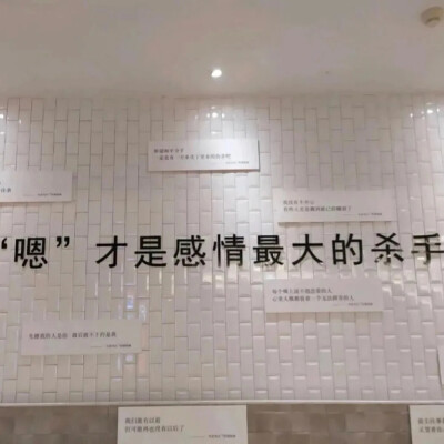 壁纸