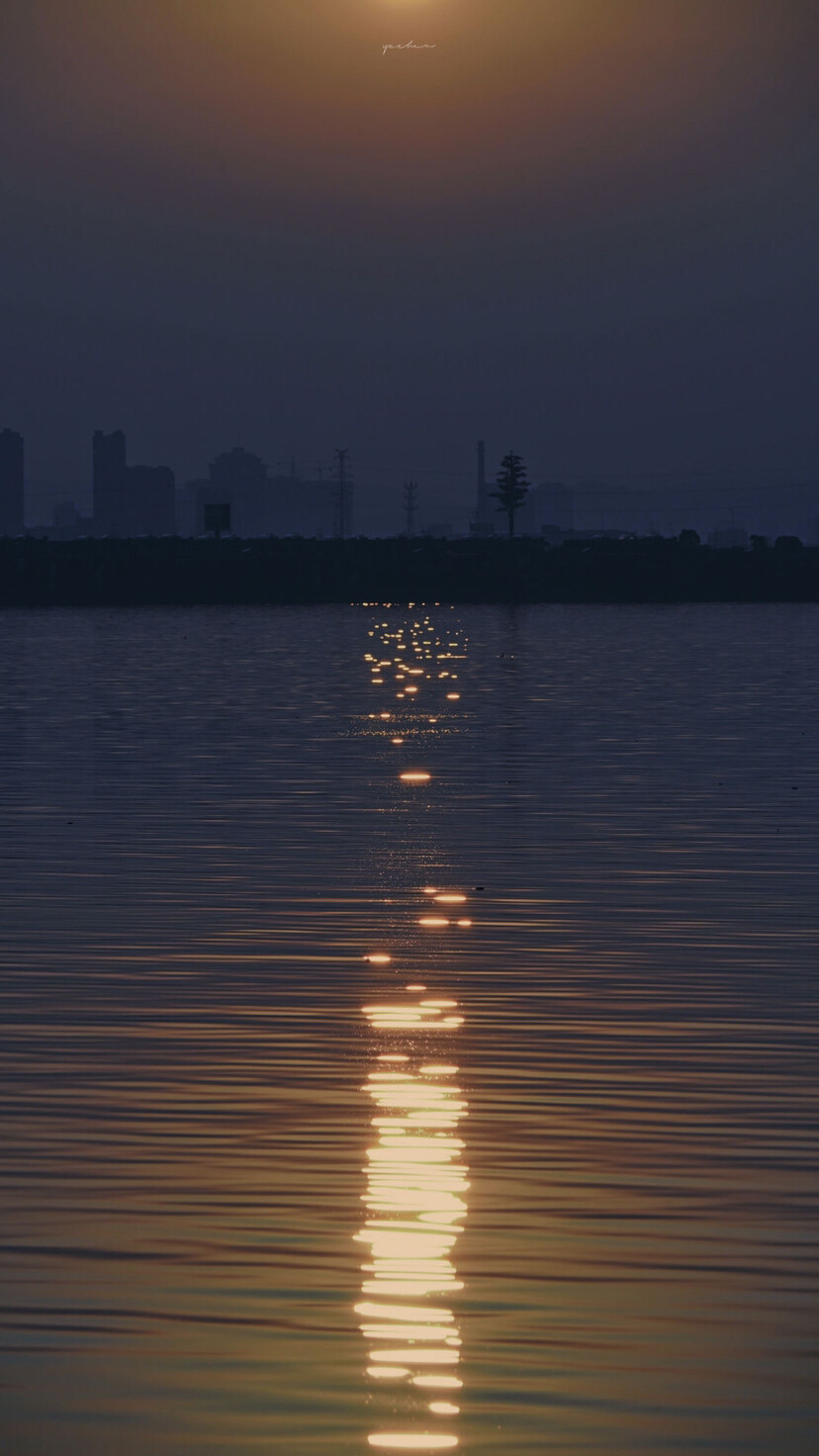 背景。壁纸