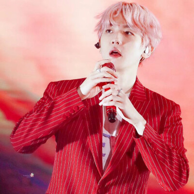 标LS_strawberry_bbh