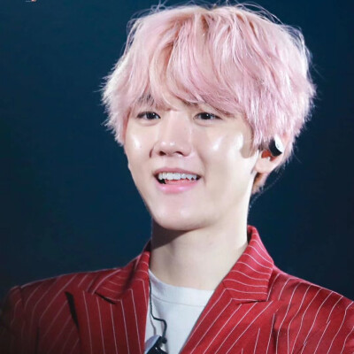 标LS_strawberry_bbh