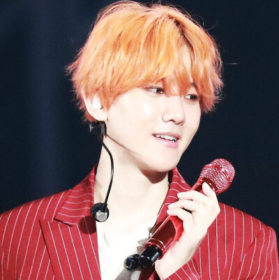 标LS_strawberry_bbh