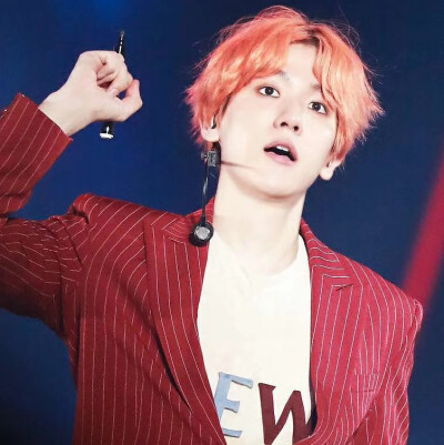 标LS_strawberry_bbh