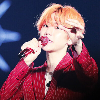 标LS_strawberry_bbh