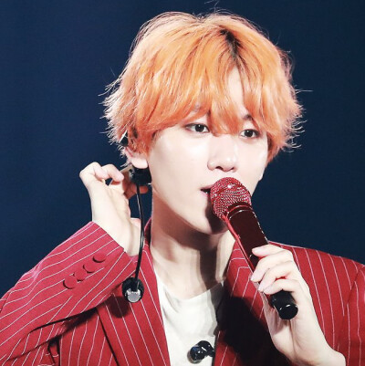 标LS_strawberry_bbh