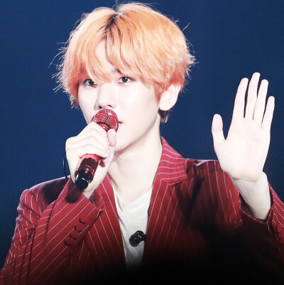 标LS_strawberry_bbh