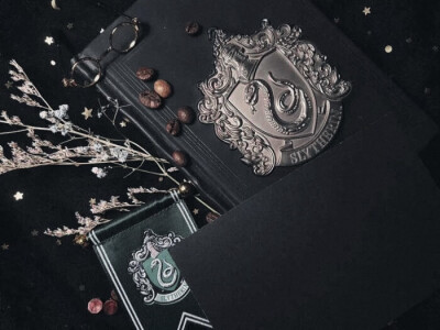 
Salazar Slytherin
