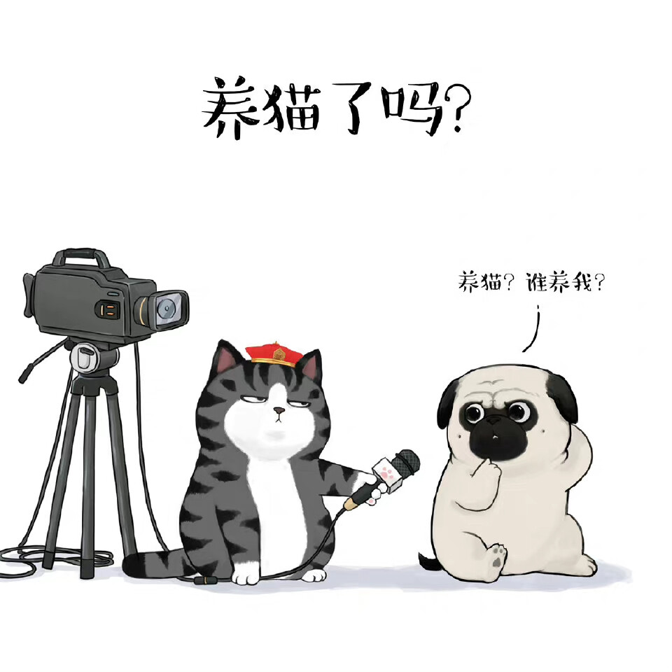 吾皇万睡！！！
头像//猫猫狗狗/快乐！