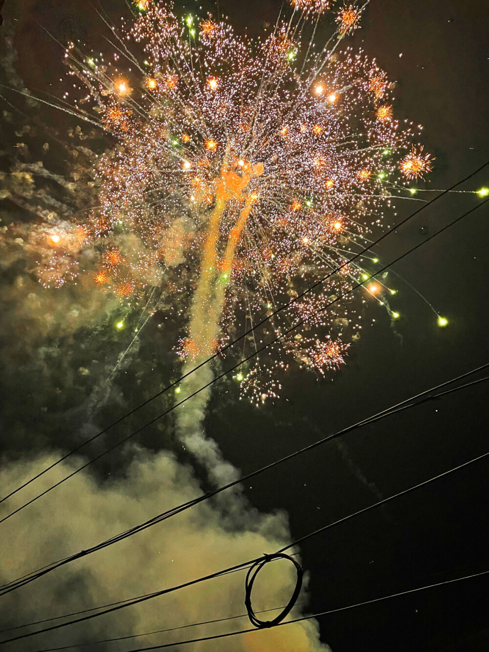 今年