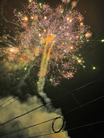 今年