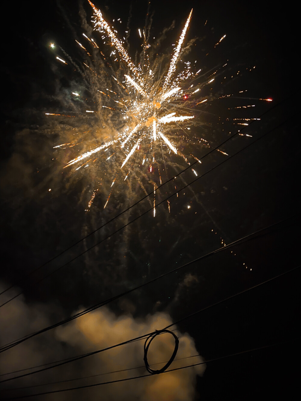 今年