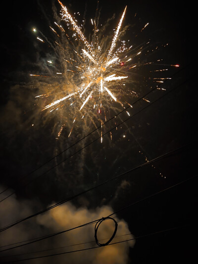 今年
