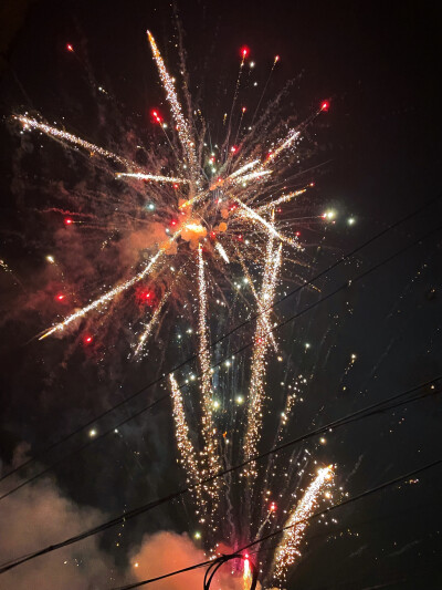 今年