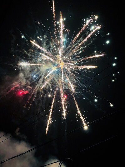 今年