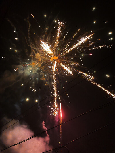 今年