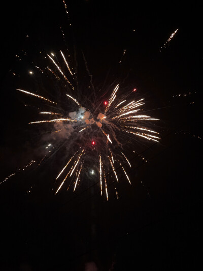 今年