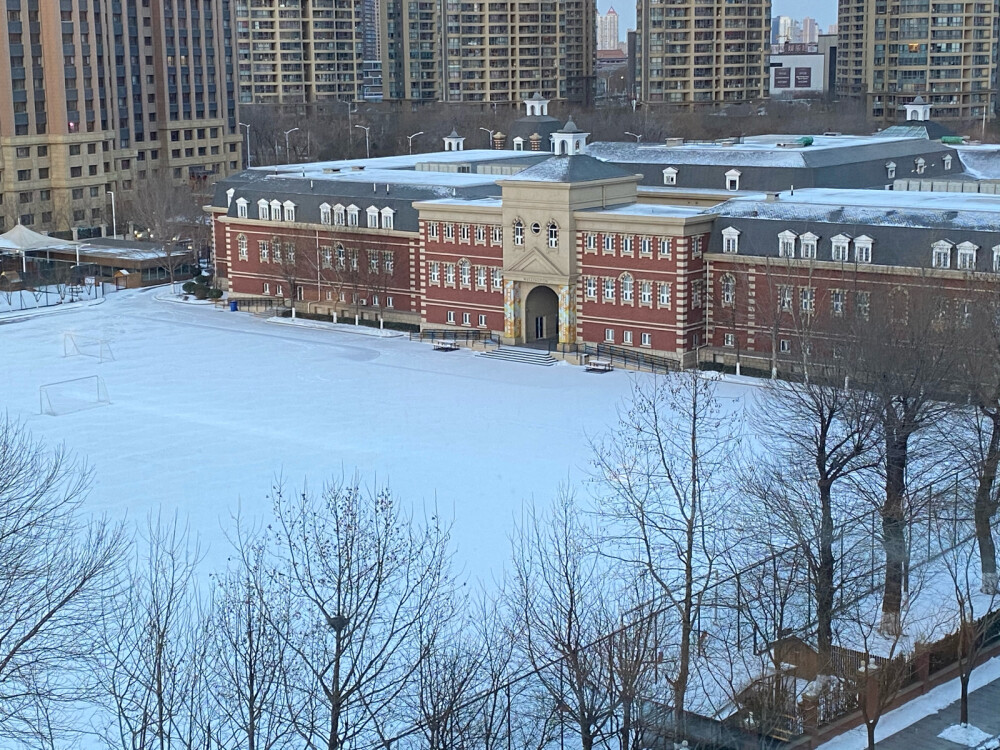 年夜饭二拍，
除夕前夜竟然下雪了，万物洁白