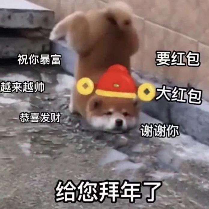 柴犬拜年表情包
