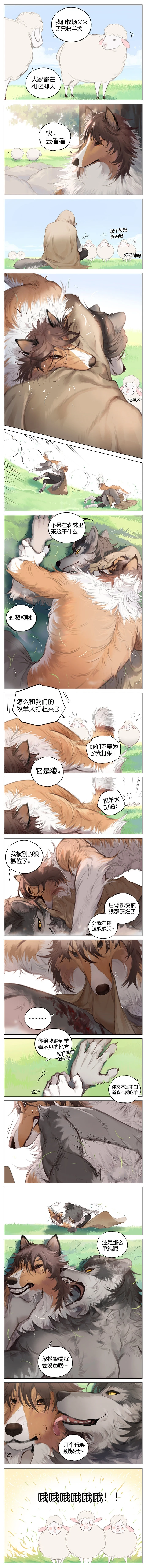 《狼和牧羊犬》③
wb画师by：阿闷aman
#兽人 #漫画 #短漫