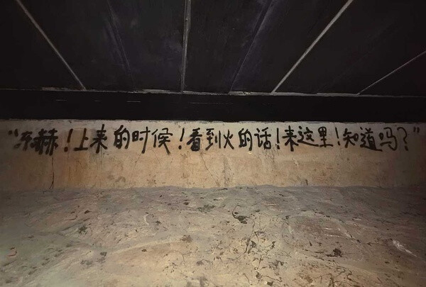 《青春礼赞》