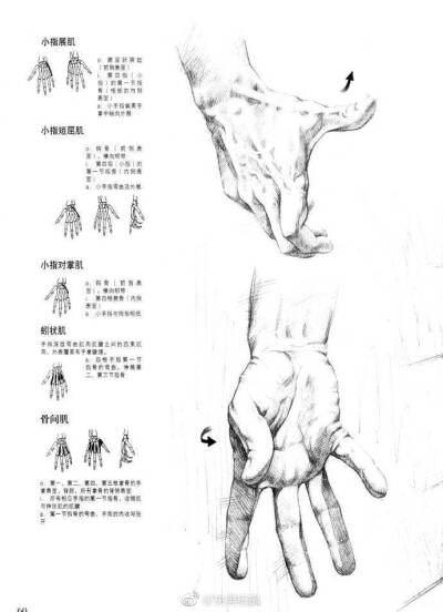 手