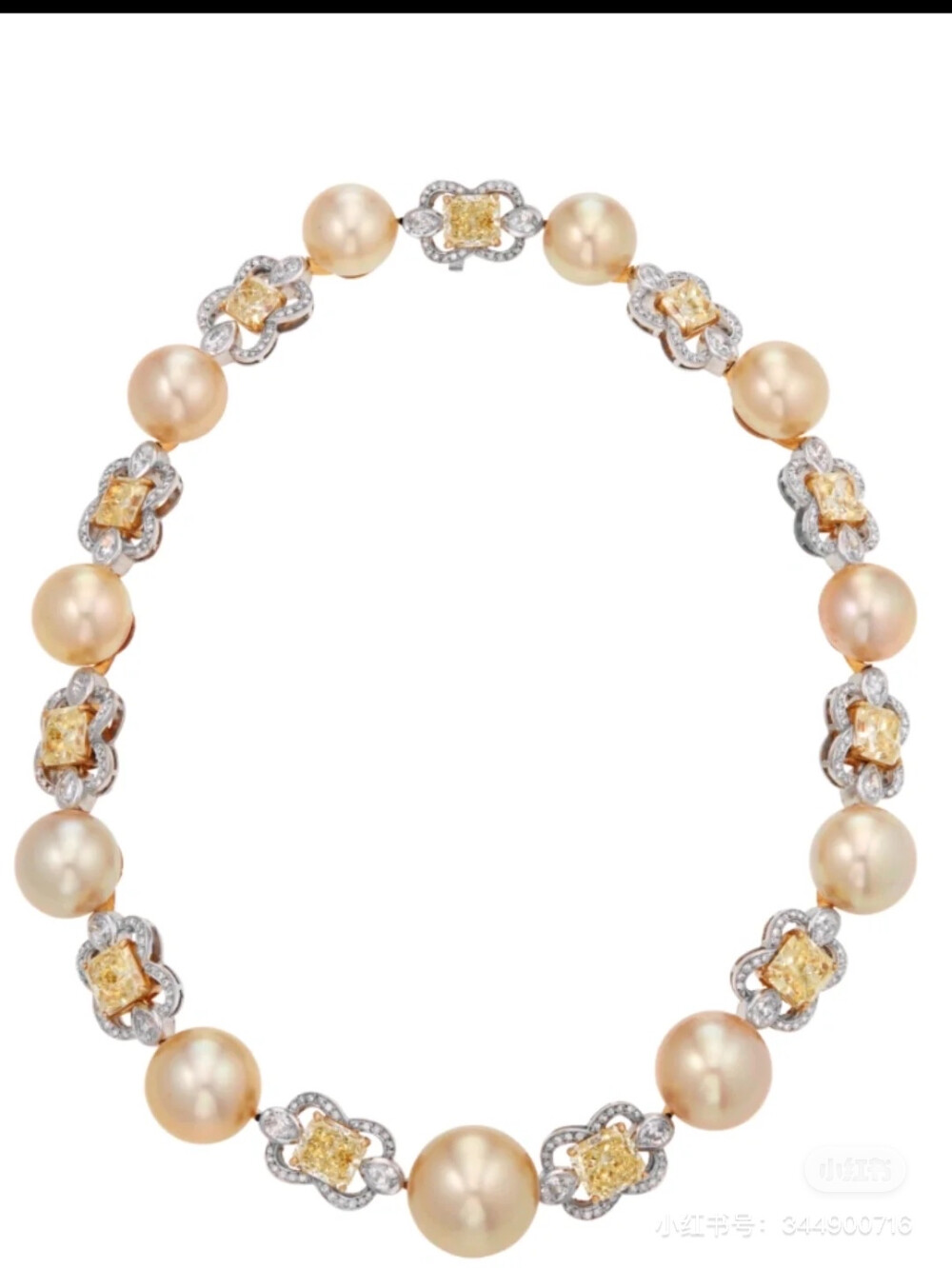 璀璨-小红书转载