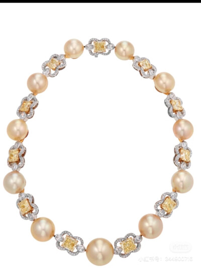 璀璨-小红书转载