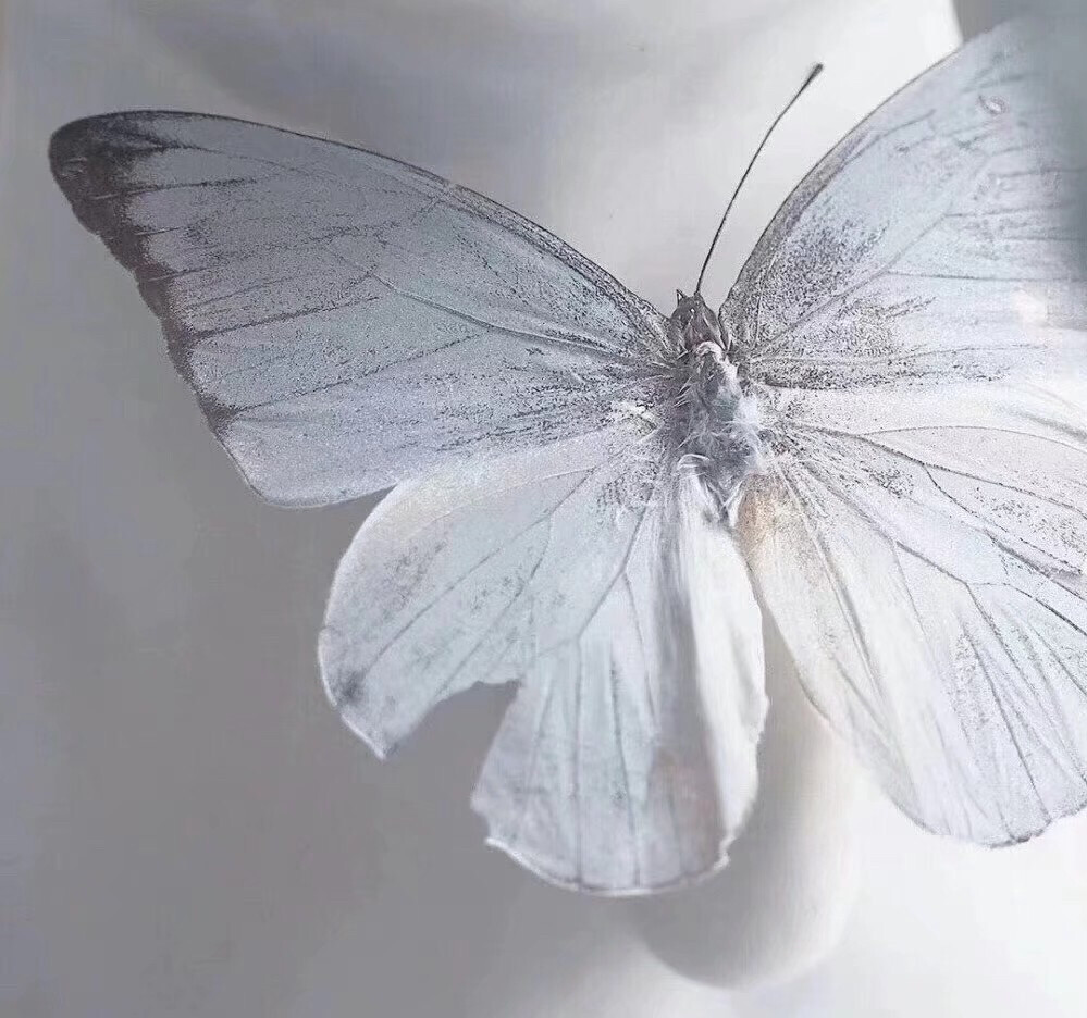 蝴蝶骨（Braised Spare Ribs）。