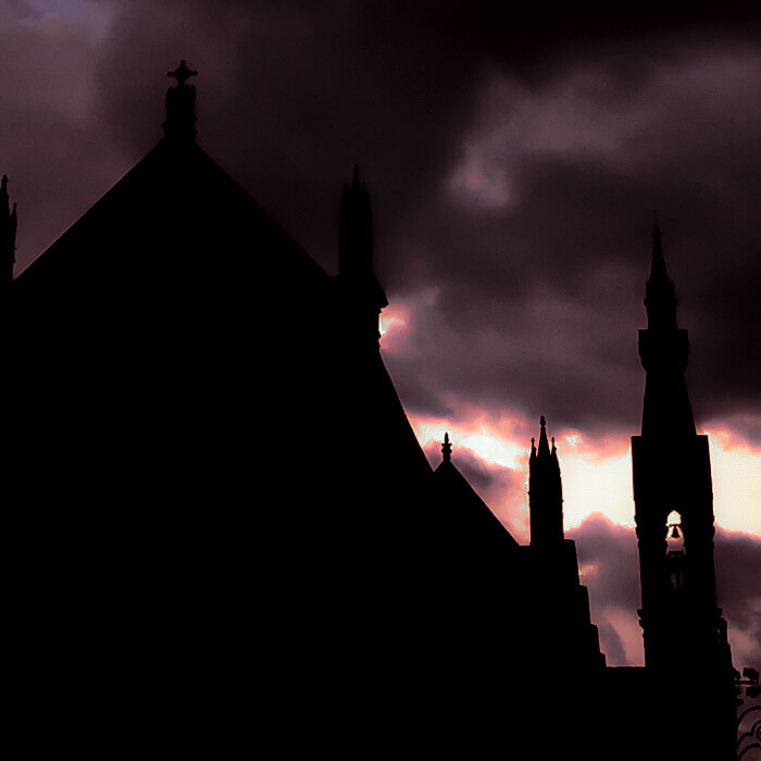 “以后solo的路还长着”
