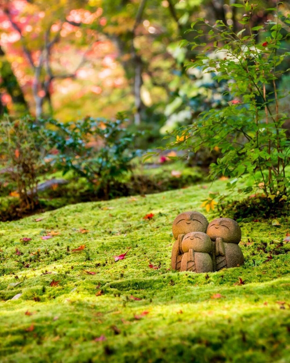 日本 京都 大原 三千院