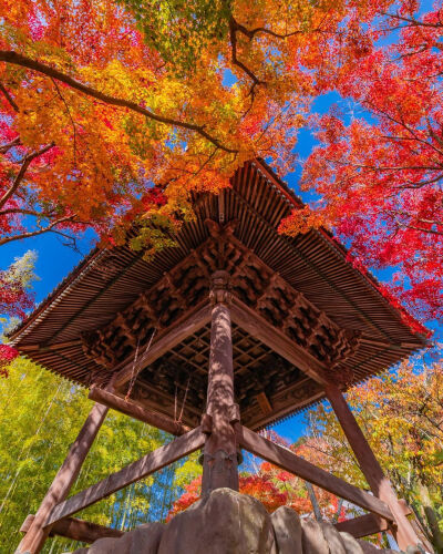 日本 静岡県 伊豆市 修禅寺 