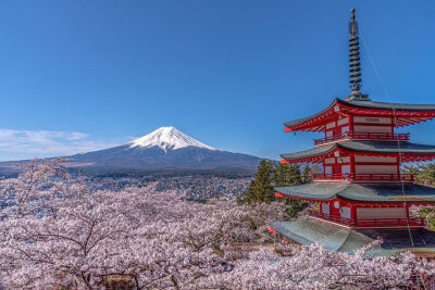 日本 山梨県 河口湖 富士山 新倉山浅間公園 桜