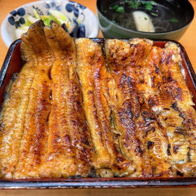 東京 豊島区グルメ 東長崎 鰻家 「うな重 特上」烤鳗