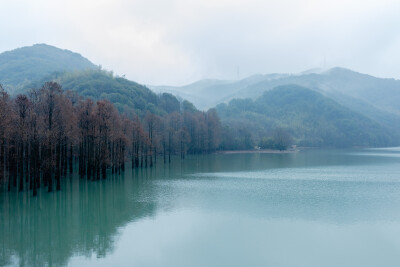 找到了一个适合露营的新去处
摄影：洪小漩
地点：石井水库
无意间在从爷爷奶奶回杭州的路上发现了这一去处。当时，好些人在那支了帐篷天幕露营，暖黄的灯串营造出了一种很妙的氛围，我甚至从水杉间隙中看到了亲子…