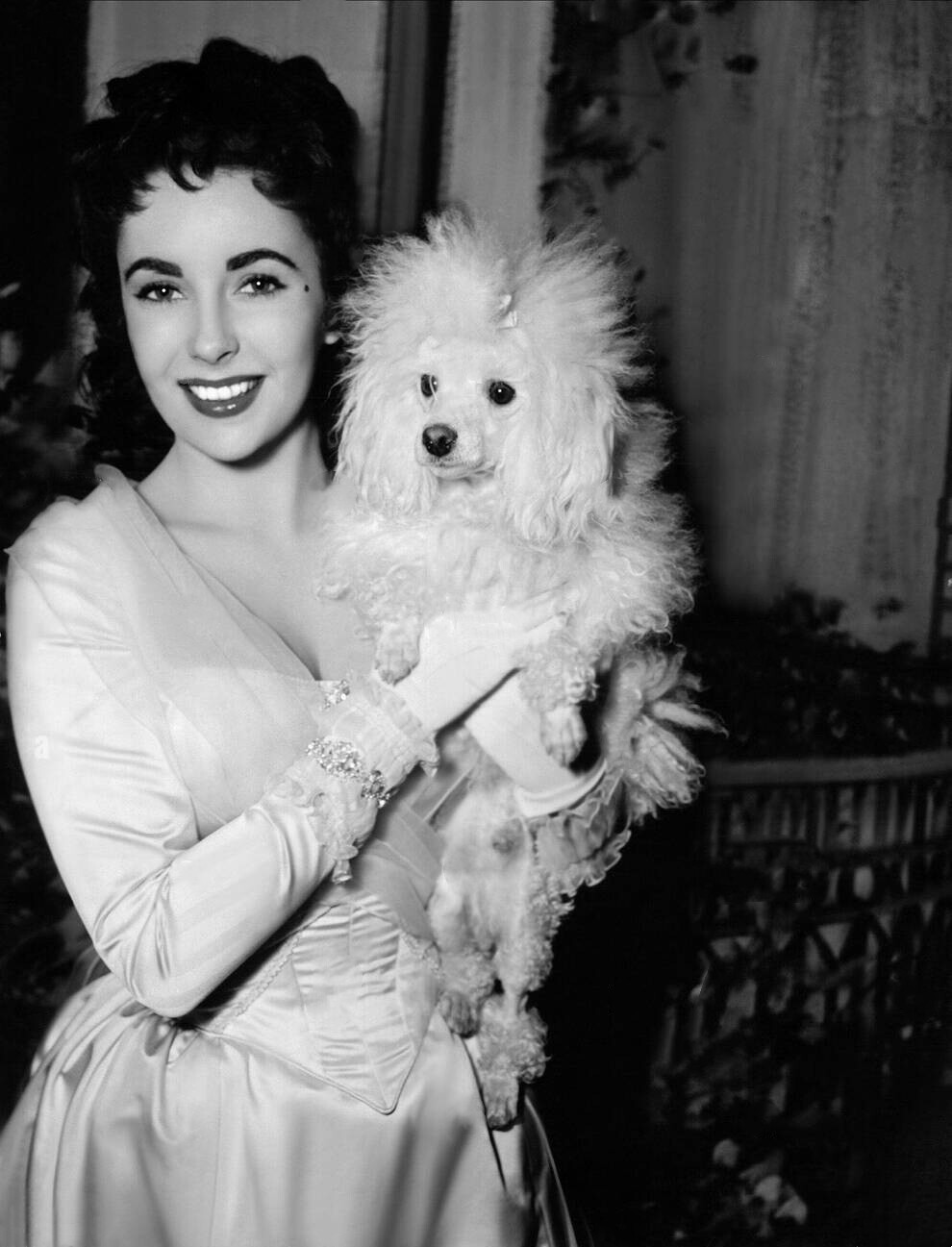 elizabethtaylor