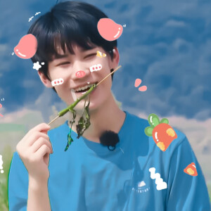 “香菜 芹菜真的很苦 为什么大人都喜欢 还说不苦的好好吃”

·刘耀文 张真源 丁程鑫｜贴纸江时树｜☃️生姜坊头牌