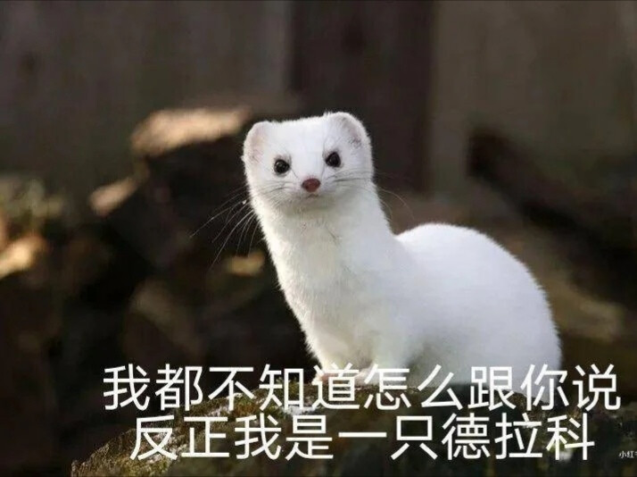 马尔福