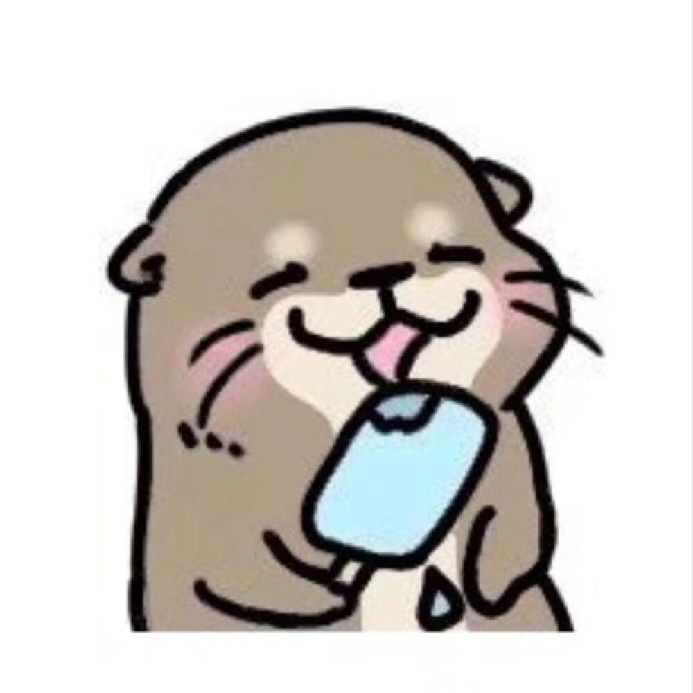 一些獭图表情包。
图源网络 侵删。