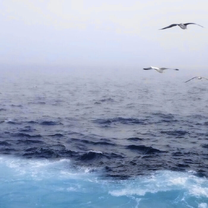 
“把日落寄往南方” 张元英 /亓野
