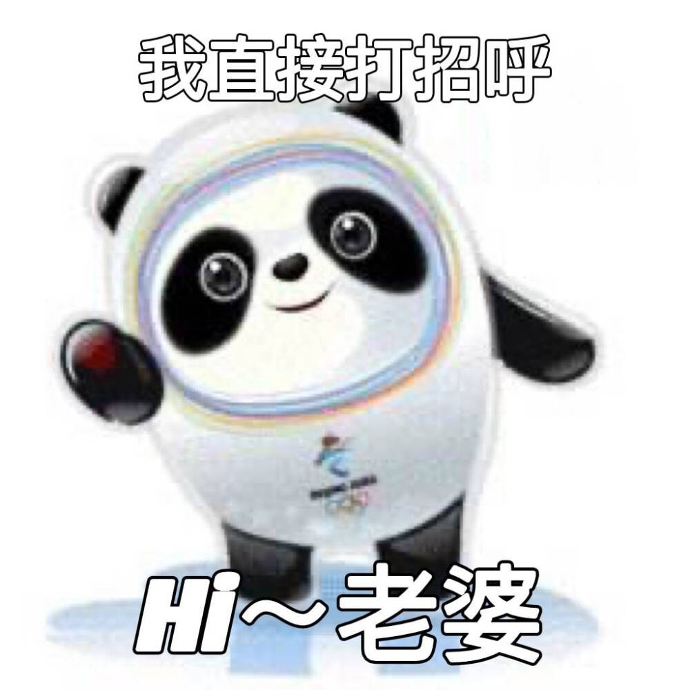 冰墩墩